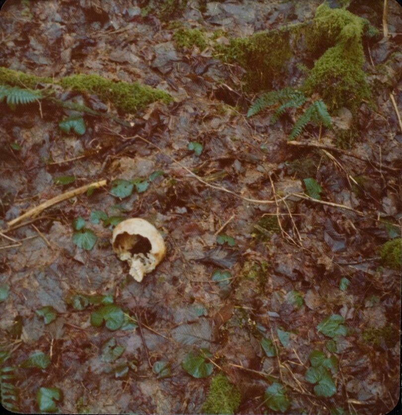 Revisiting Ted Bundy's Issaquah Dump Site